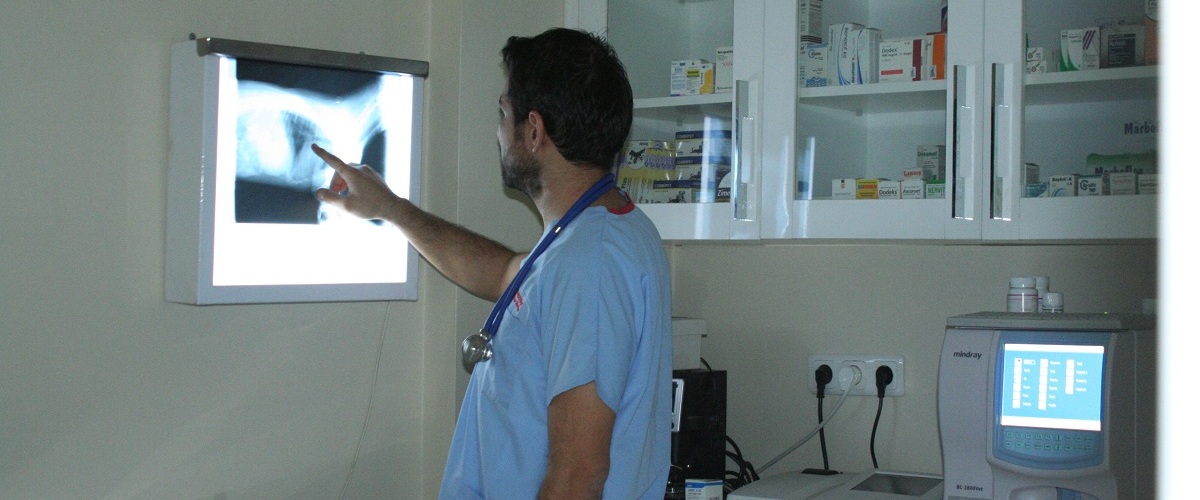 Foks Veteriner Kliniği