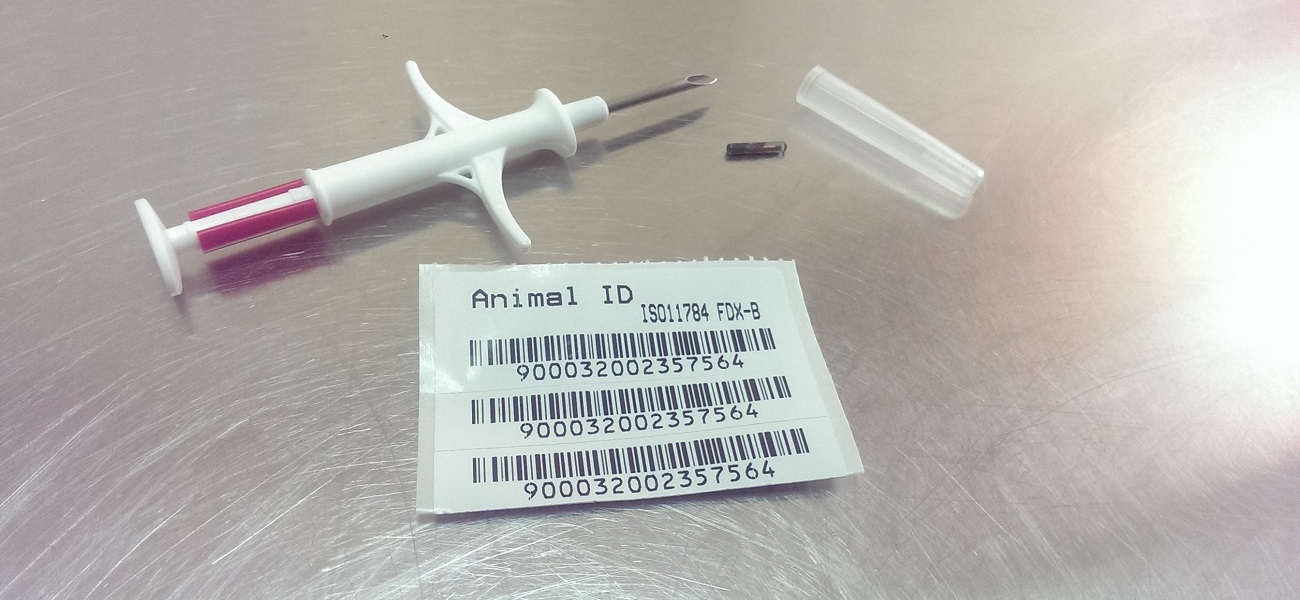 Foks Veteriner Kliniği
