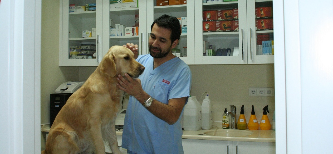 Foks Veteriner Kliniği