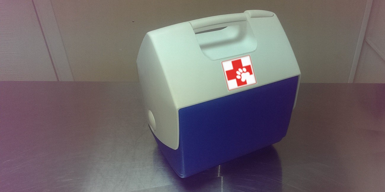 Foks Veteriner Kliniği