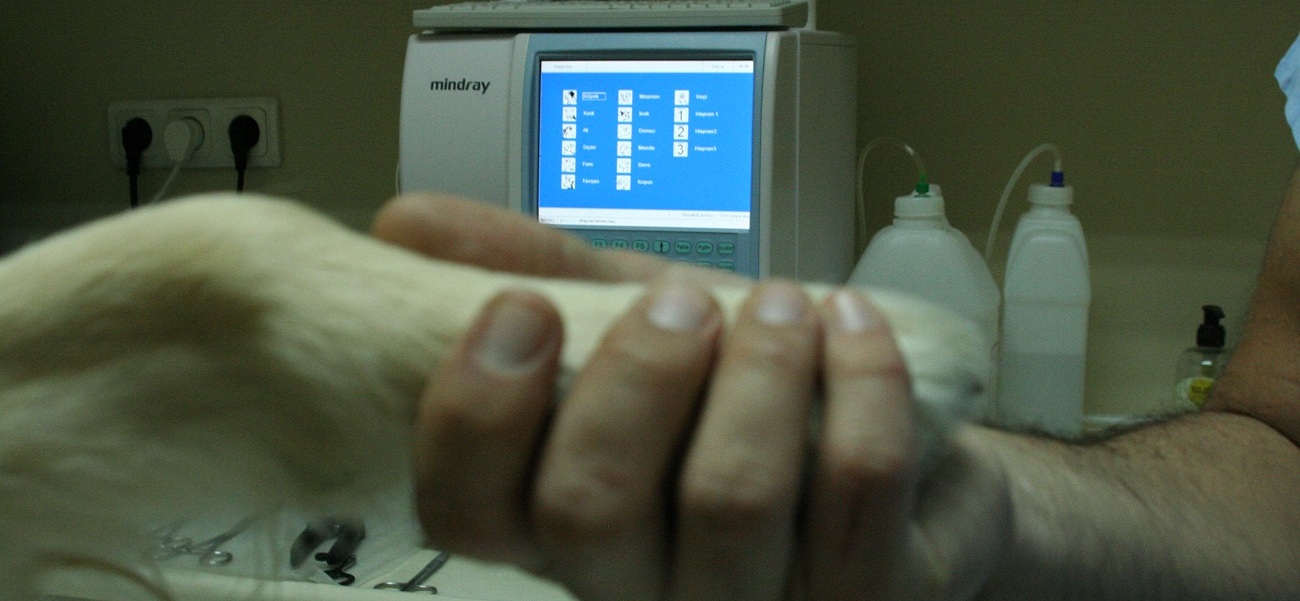 Foks Veteriner Kliniği