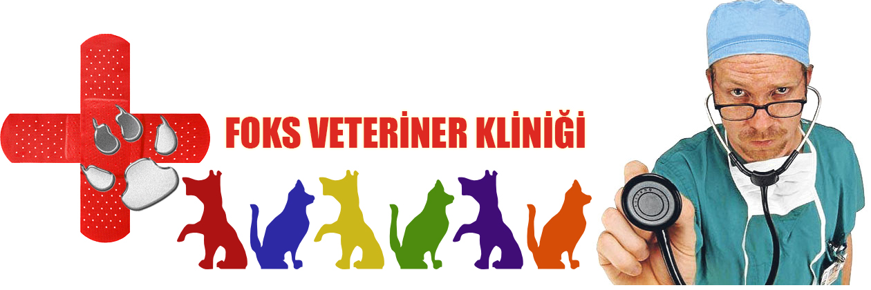 Foks Veteriner Kliniği