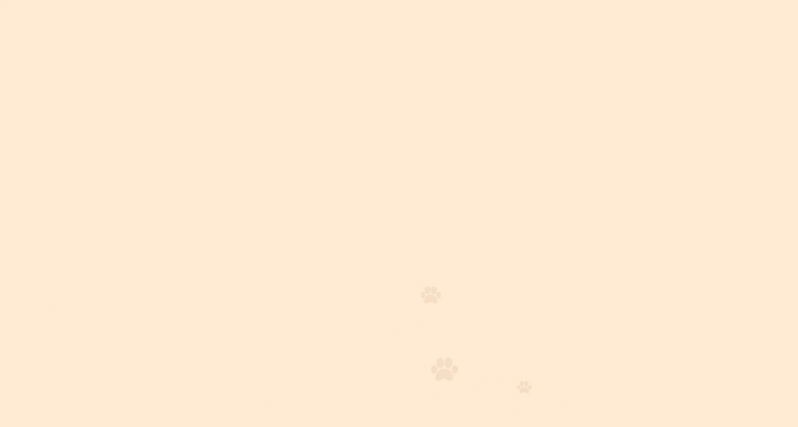 bg banner